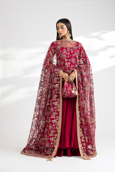 Afreen AU